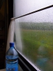 P5240016 в поезде вид из окна