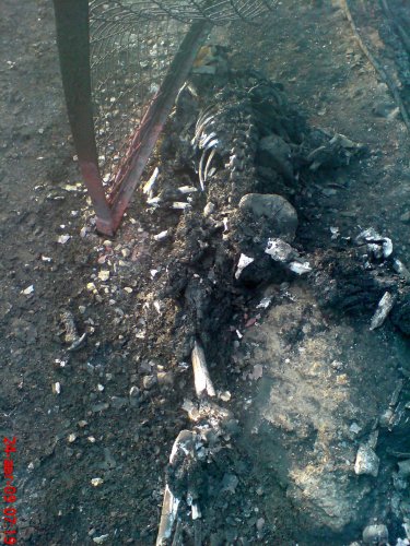 скелет сгоревшего человека жертвы пожара на предприятии транснефти