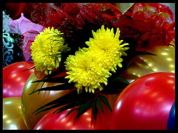 65-летие великой Победы краски праздника цветы и воздушные шарики город нерюнгри якутия рс я республика саха сайт города