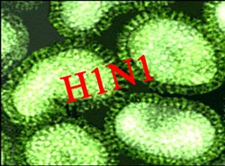 H1N1 грипп свиной грипп штамм вирус в нерюнгри заболело более 20 человек заболевшие нерюнгринцы нерюнгринские больные гриппом