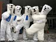 медведи в нерюнгри шутка единая россия белый медведь выборы в нерюнгринском улусе возле дк пушкина цкид главный вход осень зима из нерюнгри с юмором 