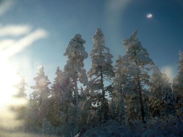 Нахот солнечный зимний день снег на деревьях мороз морозная погода зима база отдыха нахот поблизости