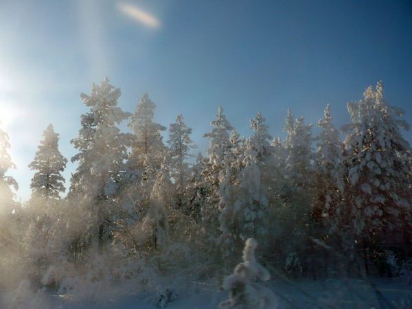 Нахот нерюнгринская база отдыха с горячим источником недалеко от базы фото зимнего леса хлопья снега на деревьях зимний день с безоблачным небом чистым от облаков возле нахота